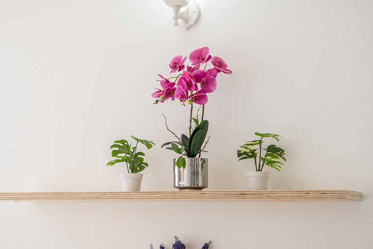 Cartagena Beach Resort