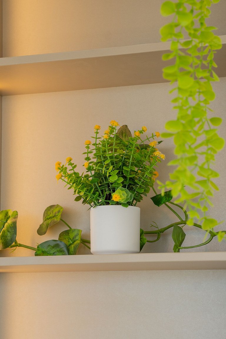 Cartagena Beach Resort 620